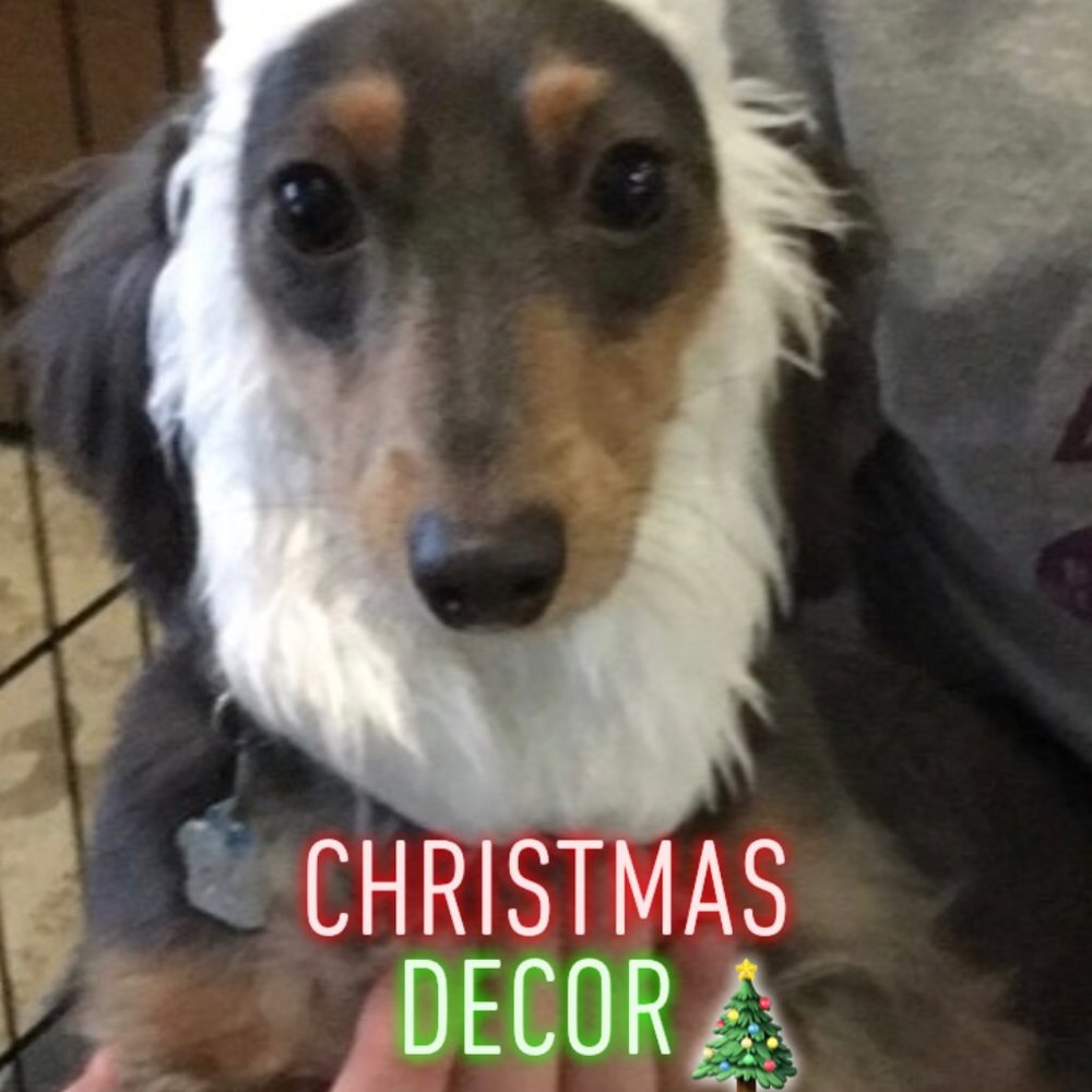 ❄️Holiday Decor❄️